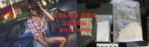 крисы Горняк