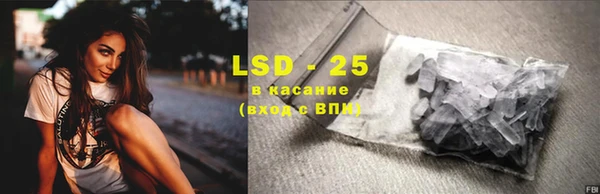 крисы Горняк
