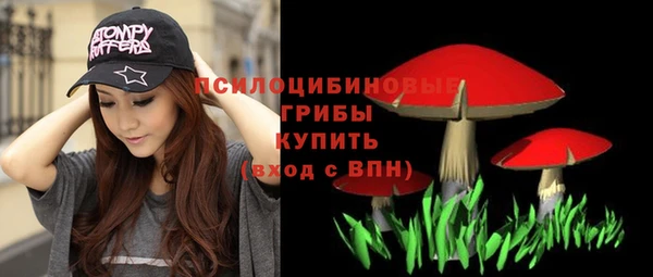крисы Горняк