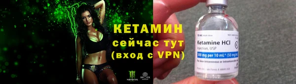 крисы Горняк