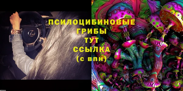 a pvp Кинешма