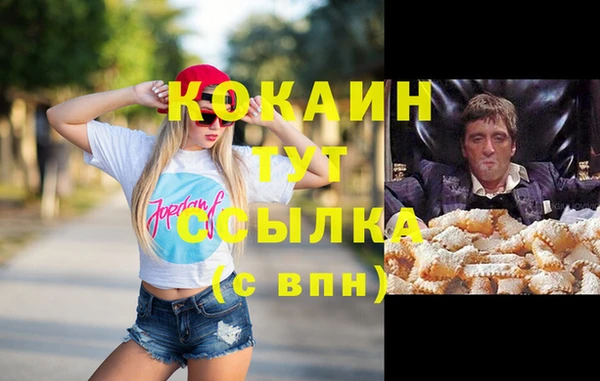 крисы Горняк
