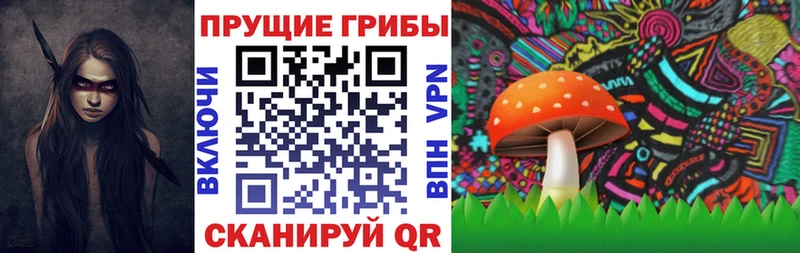 Псилоцибиновые грибы мухоморы  купить наркотики сайты  Зверево 